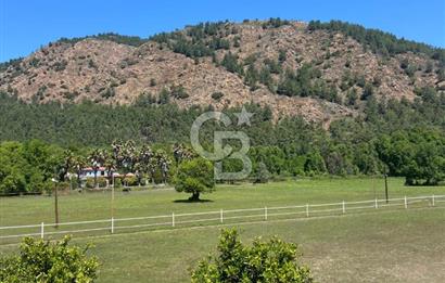 KÖYCEĞİZ'DE 75 DÖNÜM ARAZİ VE ÇİFTLİK EVİ