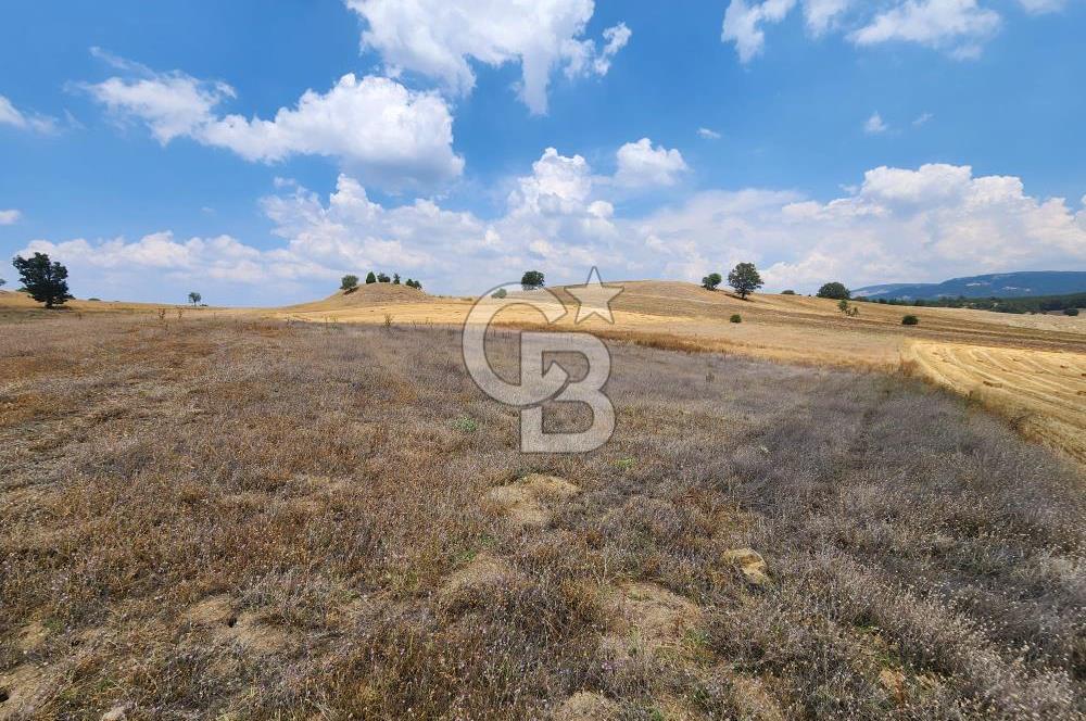 EMET GÜNLÜCE MERKEZ KÖYÜ, E5 CEPHELİ 15.150 M2 SATILIK TARLA