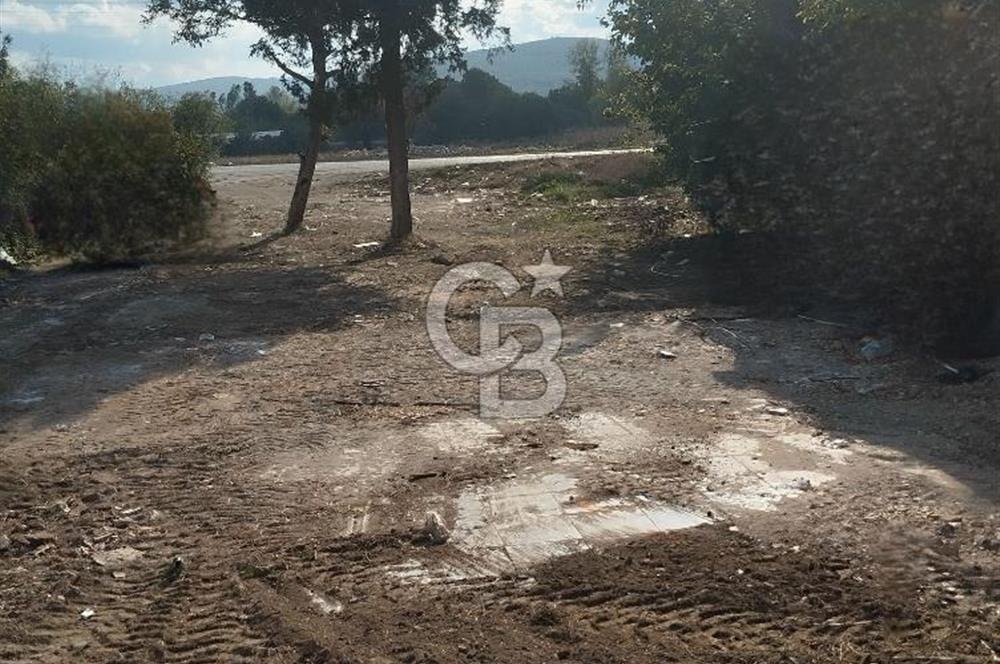 Balikesir Manyas Maltepe'de İmarlı Tek Tapu 829 M2 Satılık Arsa 