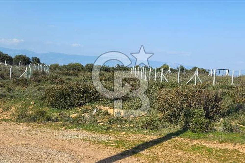 DİDİM SATILIK 371 M'2 ARSA  1.950.000 TL