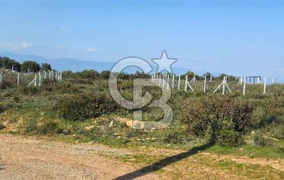 DİDİM SATILIK 371 M'2 ARSA  1.950.000 TL