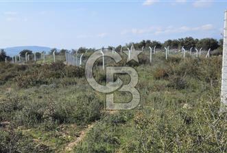 DİDİM SATILIK 371 M'2 ARSA  1.950.000 TL