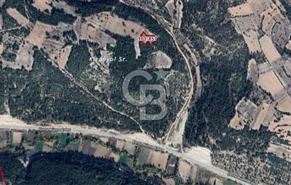 KÜTAHYA EMET FATİH\ÇERTE KÖY YAKINI SATILIK TARLA