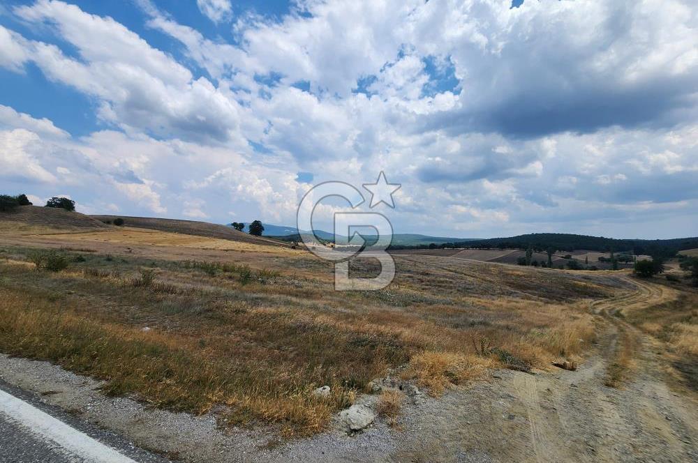 EMET GÜNLÜCE MERKEZ KÖYÜ, E5 CEPHELİ 15.150 M2 SATILIK TARLA