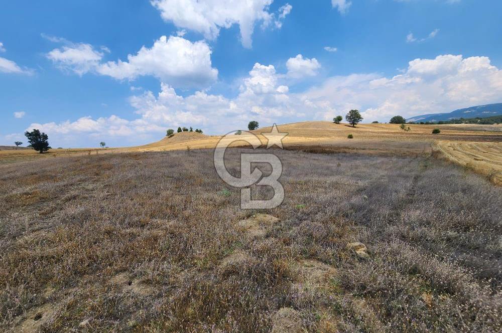 EMET GÜNLÜCE MERKEZ KÖYÜ, E5 CEPHELİ 15.150 M2 SATILIK TARLA