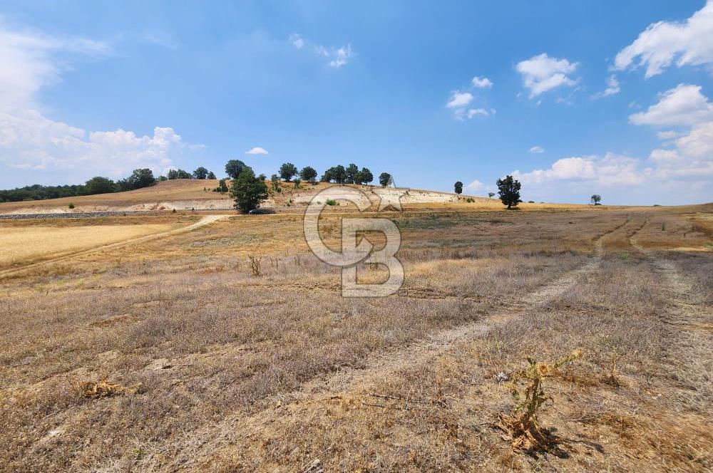 EMET GÜNLÜCE MERKEZ KÖYÜ, E5 CEPHELİ 15.150 M2 SATILIK TARLA
