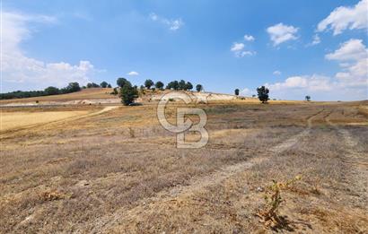 EMET GÜNLÜCE MERKEZ KÖYÜ, E5 CEPHELİ 15.150 M2 SATILIK TARLA