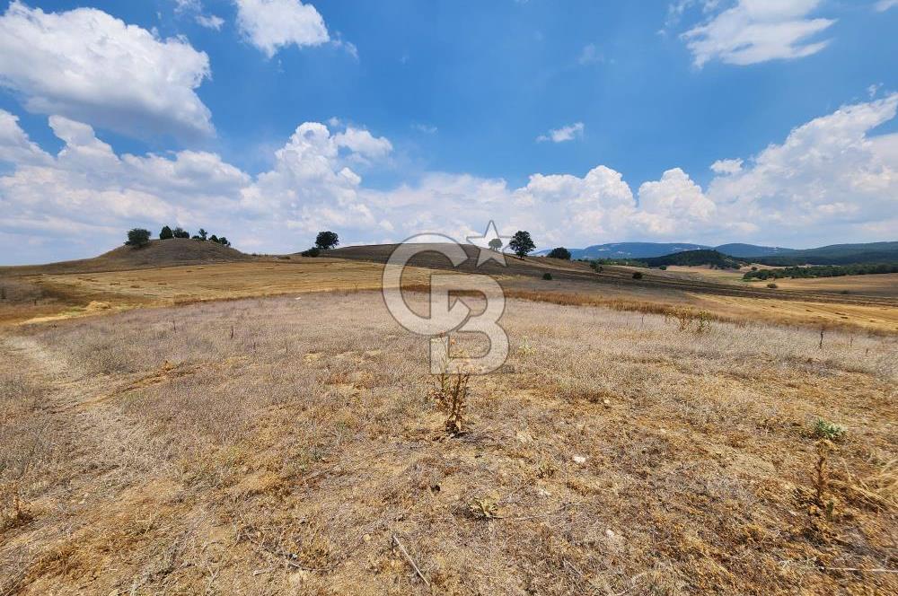 EMET GÜNLÜCE MERKEZ KÖYÜ, E5 CEPHELİ 15.150 M2 SATILIK TARLA