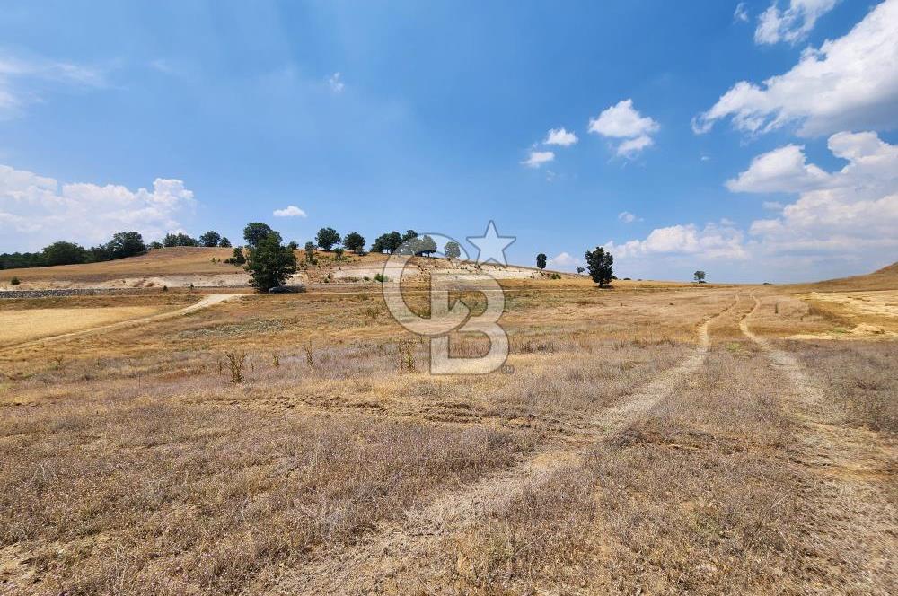 EMET GÜNLÜCE MERKEZ KÖYÜ, E5 CEPHELİ 15.150 M2 SATILIK TARLA