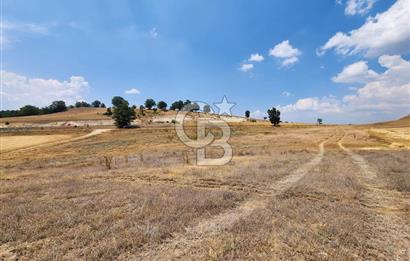 EMET GÜNLÜCE MERKEZ KÖYÜ, E5 CEPHELİ 15.150 M2 SATILIK TARLA