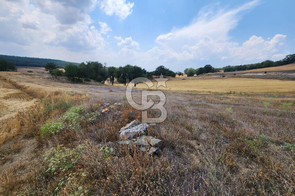 EMET GÜNLÜCE MERKEZ KÖYÜ, E5 CEPHELİ 15.150 M2 SATILIK TARLA