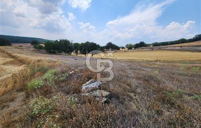 EMET GÜNLÜCE MERKEZ KÖYÜ, E5 CEPHELİ 15.150 M2 SATILIK TARLA