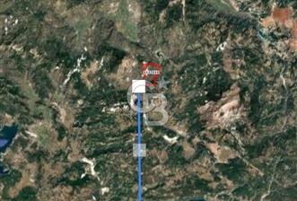Muğla Yatağan‘da satılık 16.000 metrekare zeytinlik