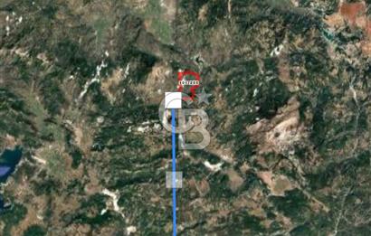 Muğla Yatağan‘da satılık 16.000 metrekare zeytinlik