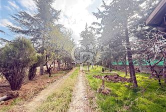 BAĞLUMDA ÇAMLARIN İÇİNDE DAİRE FiYATINA SATILIK HAVUZLU VİLLA