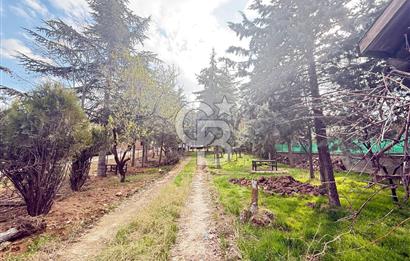 BAĞLUMDA ÇAMLARIN İÇİNDE DAİRE FiYATINA SATILIK HAVUZLU VİLLA