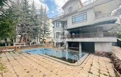 BAĞLUMDA ÇAMLARIN İÇİNDE DAİRE FiYATINA SATILIK HAVUZLU VİLLA