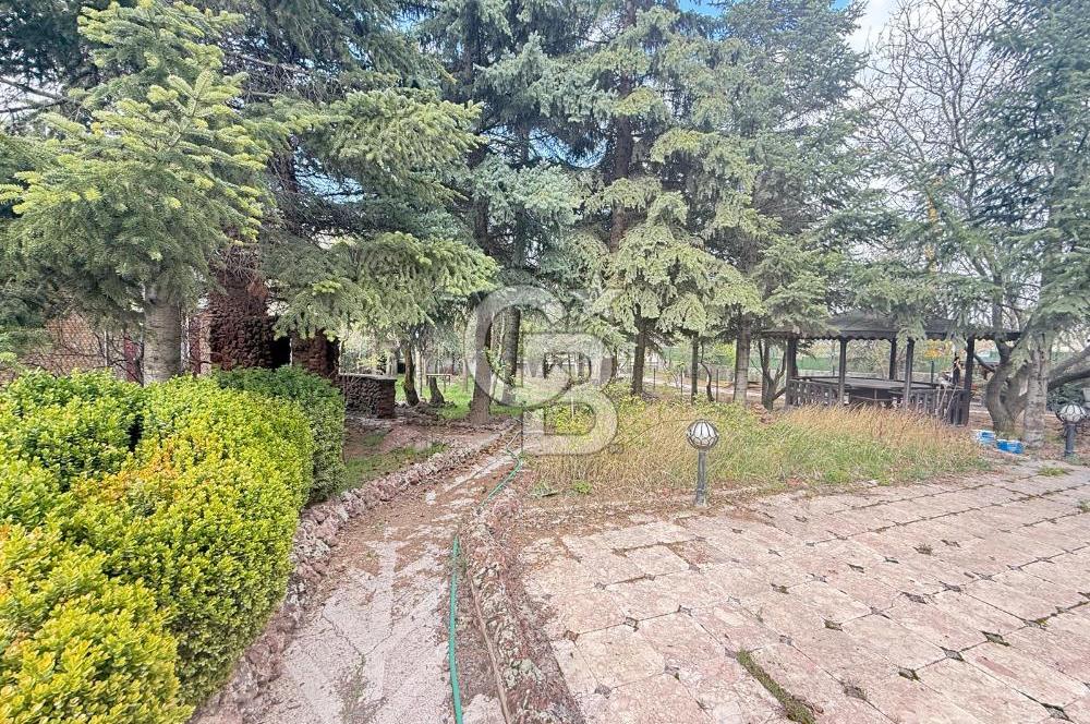 BAĞLUMDA ÇAMLARIN İÇİNDE DAİRE FiYATINA SATILIK HAVUZLU VİLLA