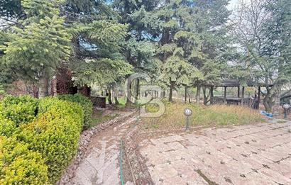 BAĞLUMDA ÇAMLARIN İÇİNDE DAİRE FiYATINA SATILIK HAVUZLU VİLLA