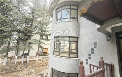 BAĞLUMDA ÇAMLARIN İÇİNDE DAİRE FiYATINA SATILIK HAVUZLU VİLLA