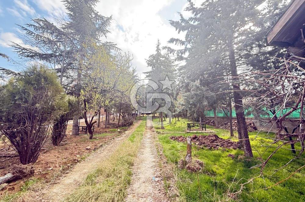 BAĞLUMDA ÇAMLARIN İÇİNDE DAİRE FiYATINA SATILIK HAVUZLU VİLLA