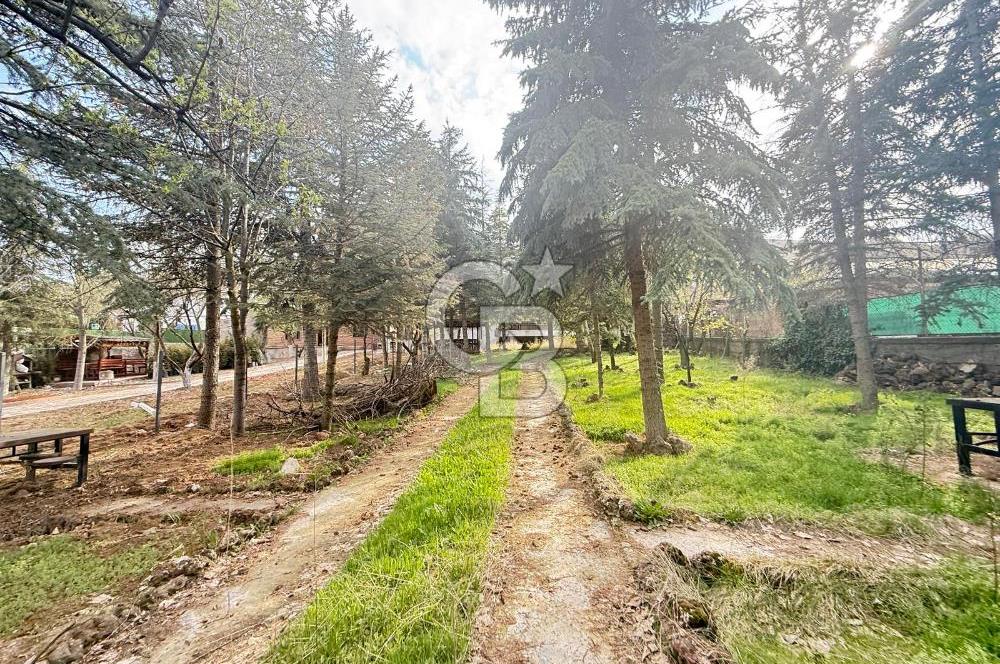 BAĞLUMDA ÇAMLARIN İÇİNDE DAİRE FiYATINA SATILIK HAVUZLU VİLLA