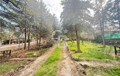 BAĞLUMDA ÇAMLARIN İÇİNDE DAİRE FiYATINA SATILIK HAVUZLU VİLLA