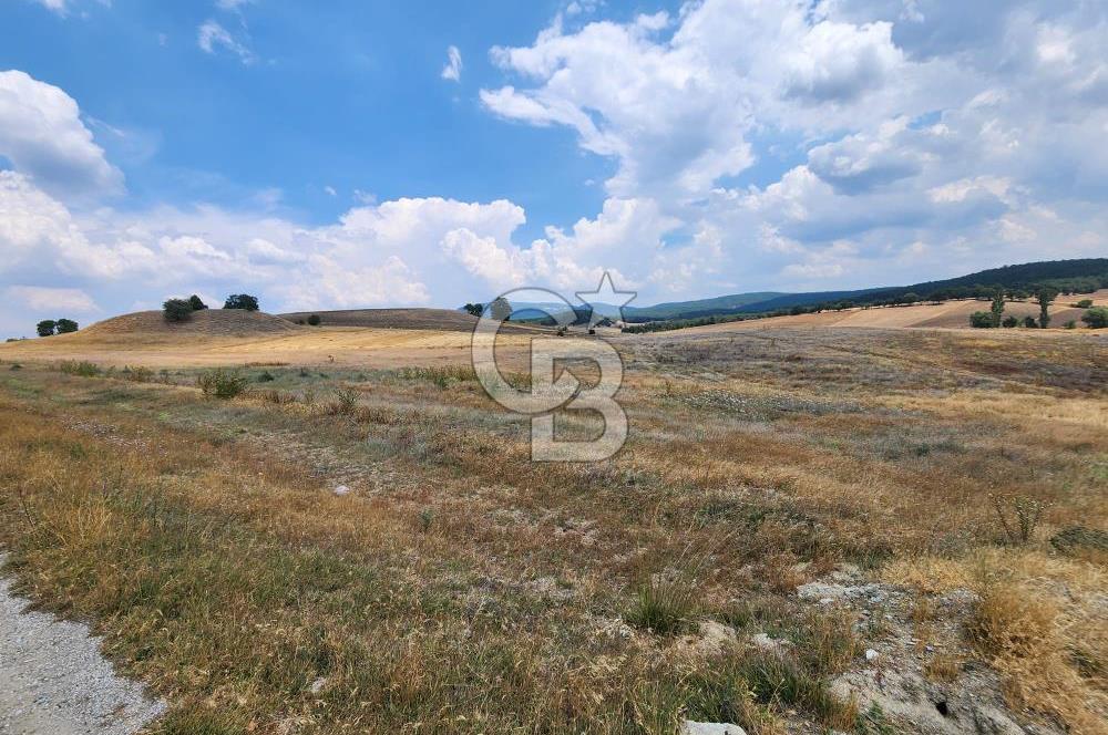 EMET GÜNLÜCE MERKEZ KÖYÜ, E5 CEPHELİ 15.150 M2 SATILIK TARLA