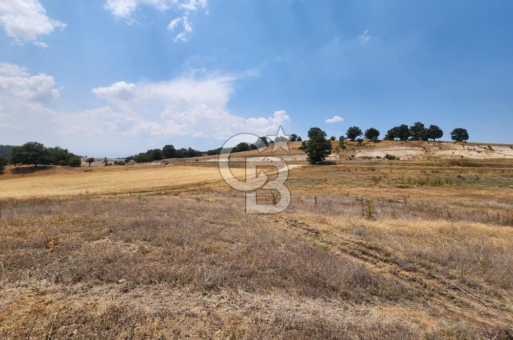 EMET GÜNLÜCE MERKEZ KÖYÜ, E5 CEPHELİ 15.150 M2 SATILIK TARLA
