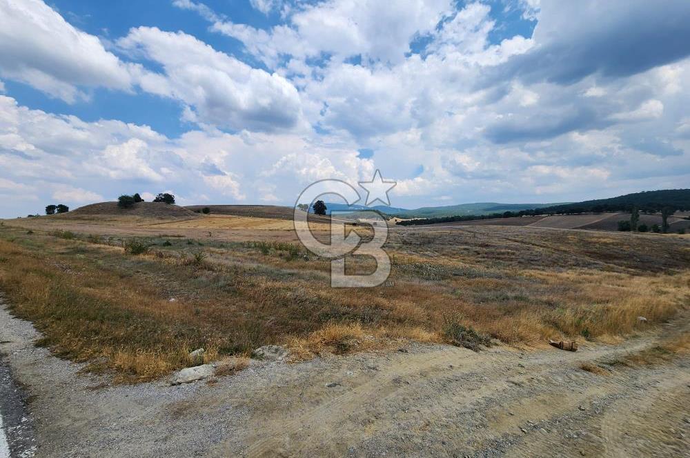 EMET GÜNLÜCE MERKEZ KÖYÜ, E5 CEPHELİ 15.150 M2 SATILIK TARLA