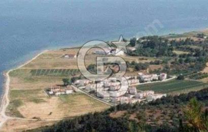 SATILIK ZEYTİNLİK TARLA GELİBOLU ILGARDERE KÖYÜ