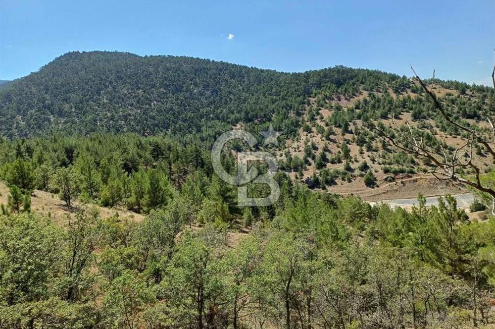 KONYA HADİM'DE SATILIK 5 DÖNÜM TARLA