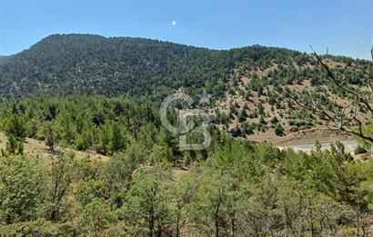 KONYA HADİM'DE SATILIK 5 DÖNÜM TARLA