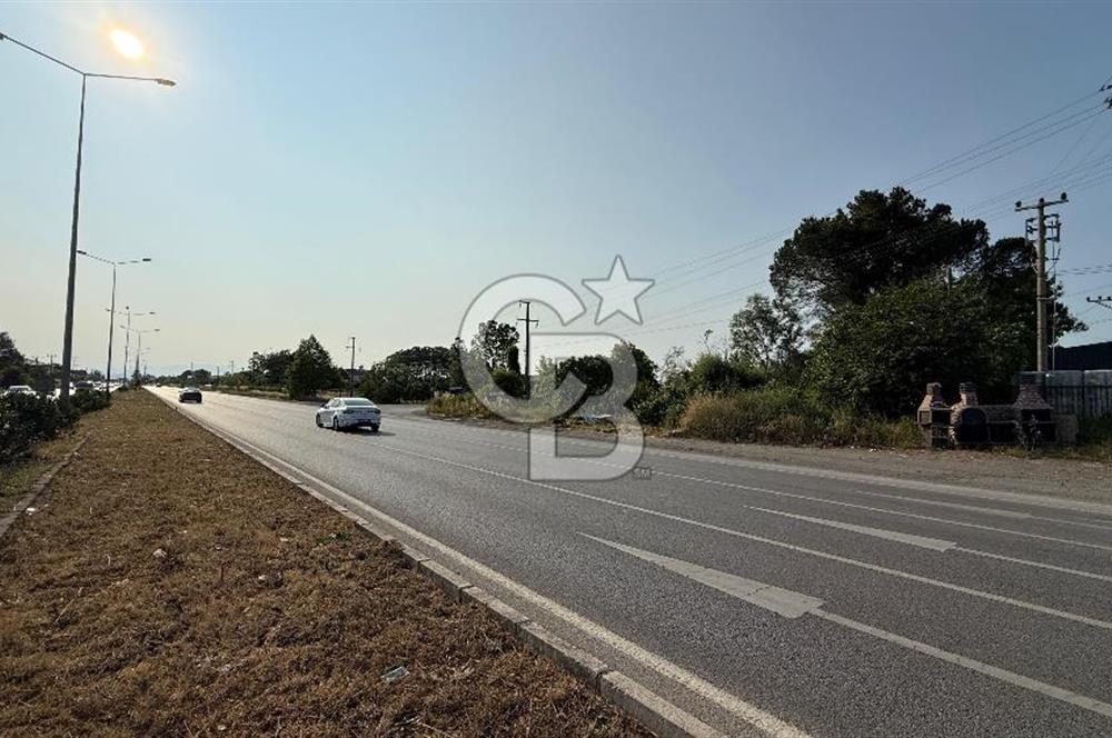 Mükemmel Yatırım Fırsatı! Çarşamba Çınarlık’ta 930,44 m² Tapulu Arsa