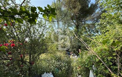 Mükemmel Yatırım Fırsatı! Çarşamba Çınarlık’ta 930,44 m² Tapulu Arsa