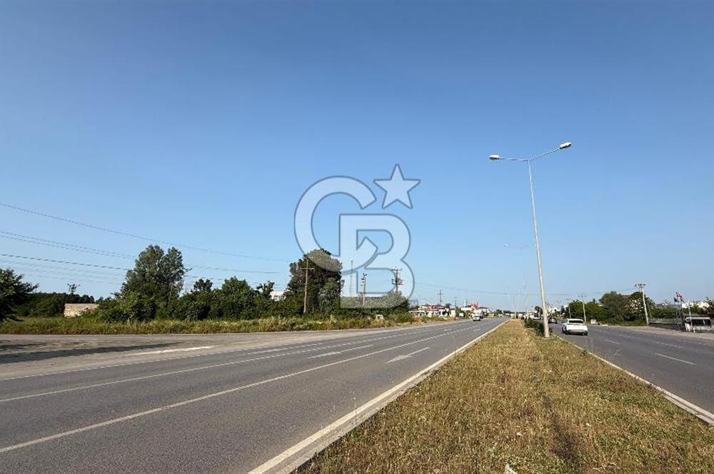 Mükemmel Yatırım Fırsatı! Çarşamba Çınarlık’ta 930,44 m² Tapulu Arsa