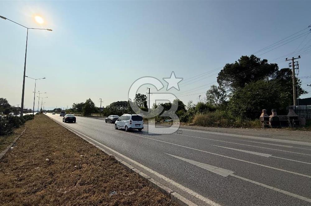 Mükemmel Yatırım Fırsatı! Çarşamba Çınarlık’ta 930,44 m² Tapulu Arsa