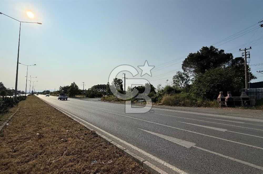 Mükemmel Yatırım Fırsatı! Çarşamba Çınarlık’ta 930,44 m² Tapulu Arsa