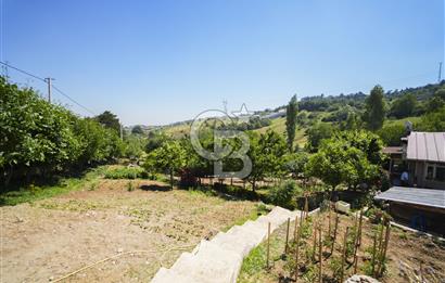 DAĞ YENİCE'DE İÇİNDE BAĞ EVİ BULUNAN SATILIK TARLA