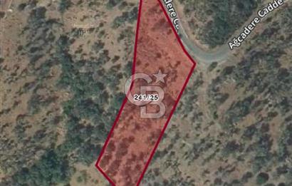 Seferihisar Orhanlı’da 3.944 m² Zeytin Ağaçlı Yatırımlık Tarla