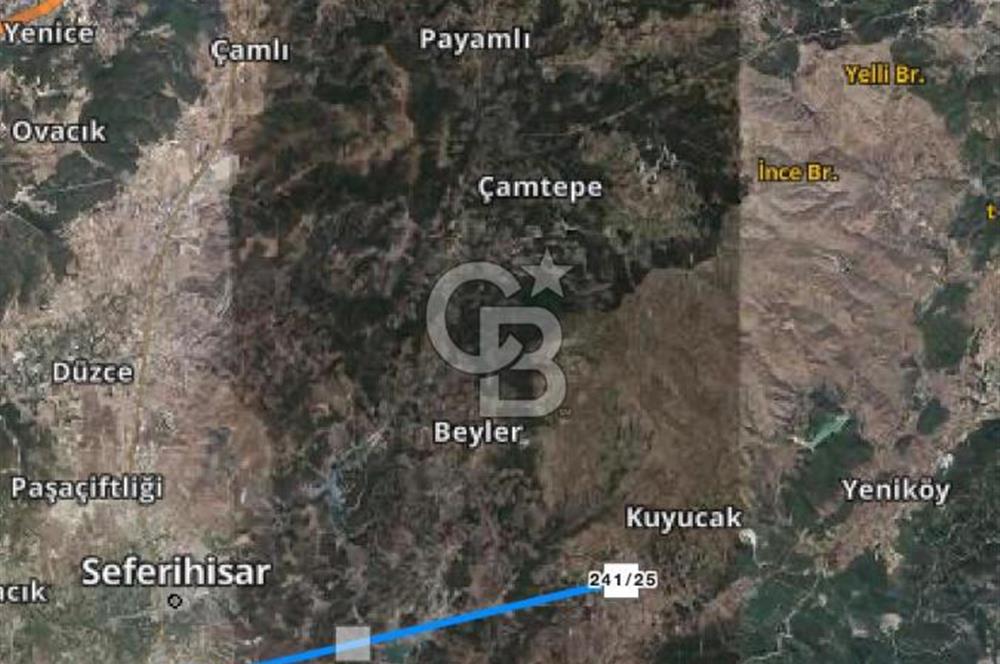 Seferihisar Orhanlı’da 3.944 m² Zeytin Ağaçlı Yatırımlık Tarla