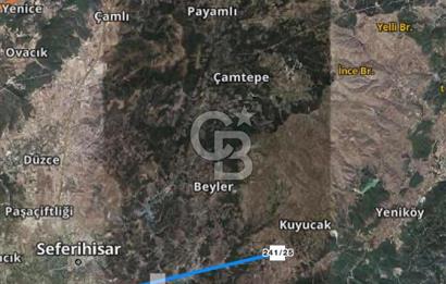 Seferihisar Orhanlı’da 3.944 m² Zeytin Ağaçlı Yatırımlık Tarla