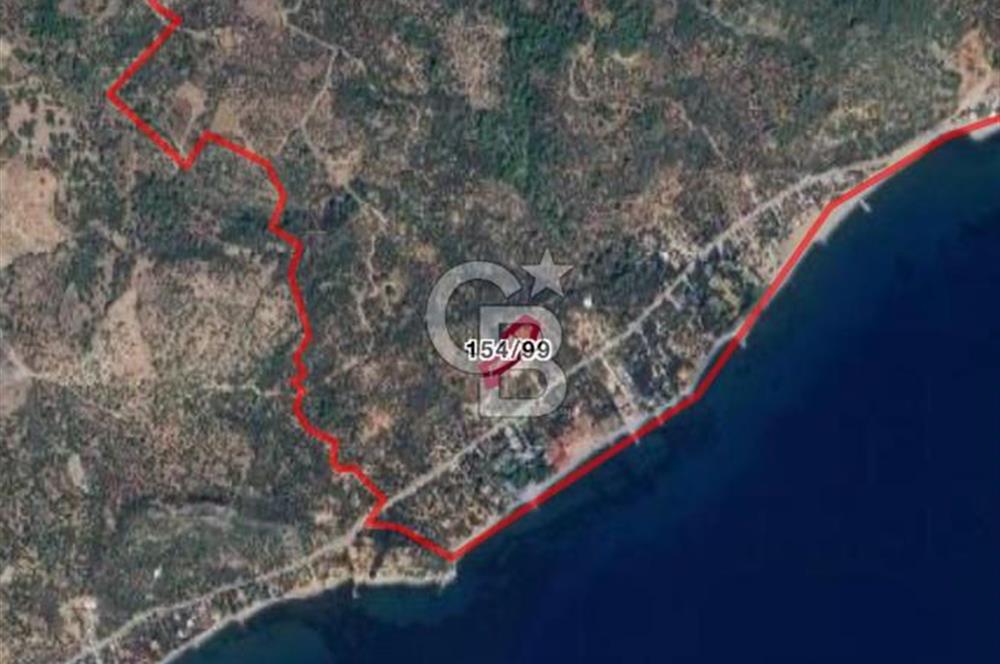 ÇANAKKALE AYVACIK SATILIK ZEYTİNLİK