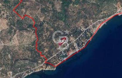 ÇANAKKALE AYVACIK SATILIK ZEYTİNLİK