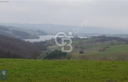 Yatırımlık Tarla! Derince Geredeli Köyü'nde 173 Ada 2 Parsel