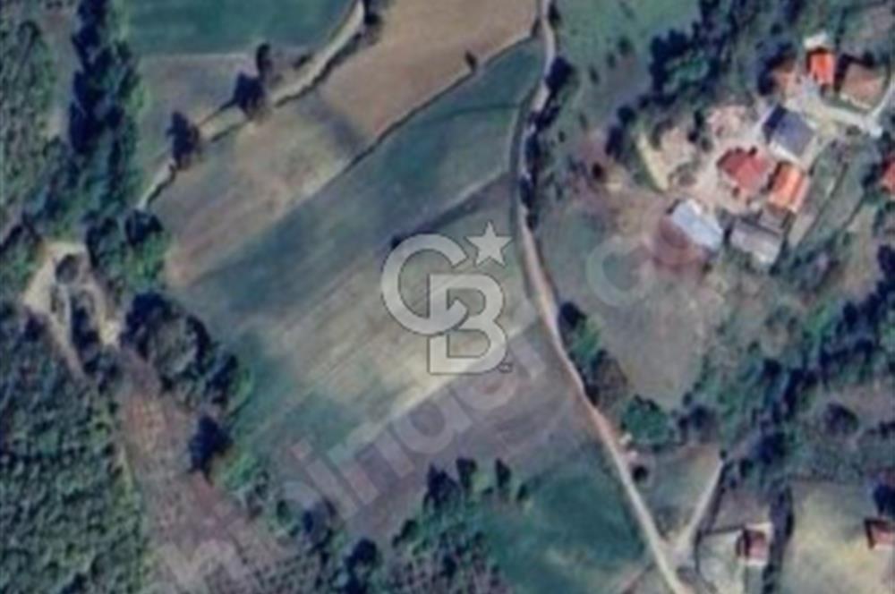 Yatırımlık Tarla! Derince Geredeli Köyü'nde 173 Ada 2 Parsel