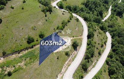 CB AKADEMİ KANDIRA AĞAÇAĞIL SATILIK 603m2 ASFALT BİR PARSEL TARLA