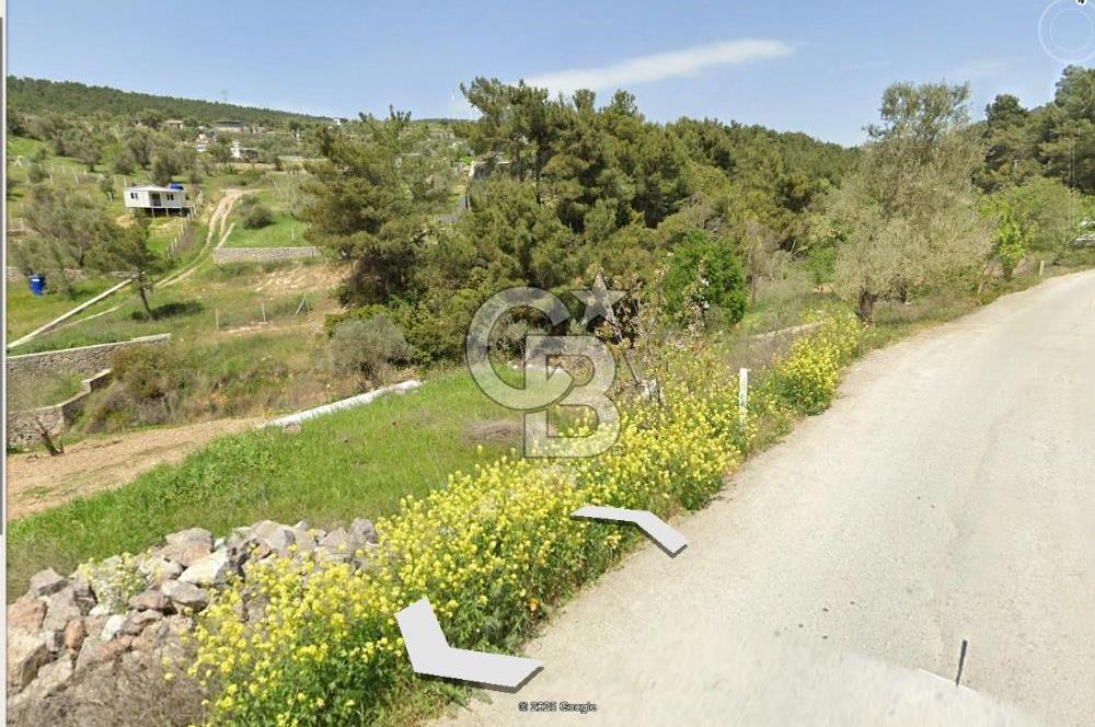 Bornova Yakaköy'de Satılık 348 m2 Zeytinlik Tarla