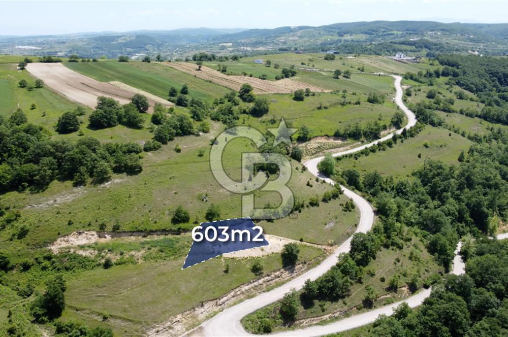 CB AKADEMİ KANDIRA AĞAÇAĞIL SATILIK 603m2 ASFALT BİR PARSEL TARLA