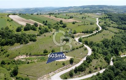 CB AKADEMİ KANDIRA AĞAÇAĞIL SATILIK 603m2 ASFALT BİR PARSEL TARLA